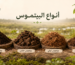تربة البيتموس لزراعة النباتات