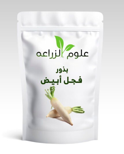 بذور فجل ابيض30جم