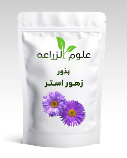 بذور زهرة استر - 3جم