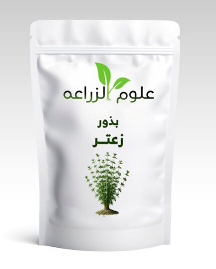 بذور زعتر 12 جم