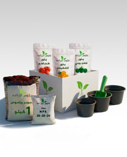 بوكس مارس الأخضر