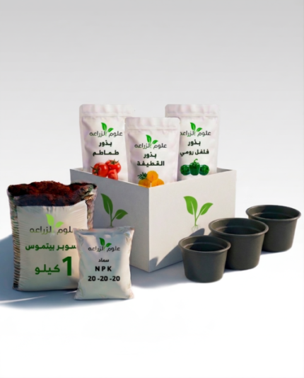 بوكس مارس الأخضر