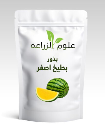 بطيخ اصفر