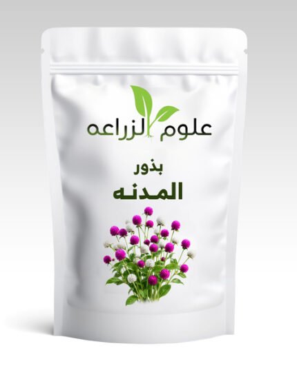 بذور مدنه